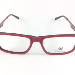 ASTERIK AS2903 RED/BLACK 55X17